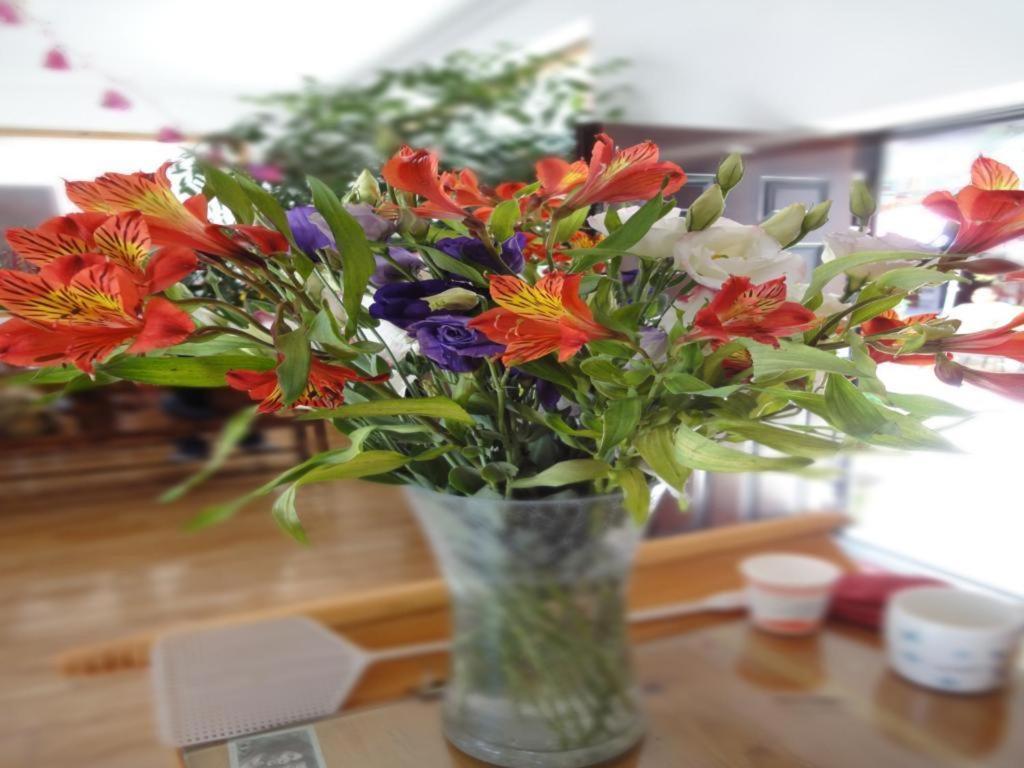 Dali Four Season Flower Inn Dali (Yunnan) Zewnętrze zdjęcie